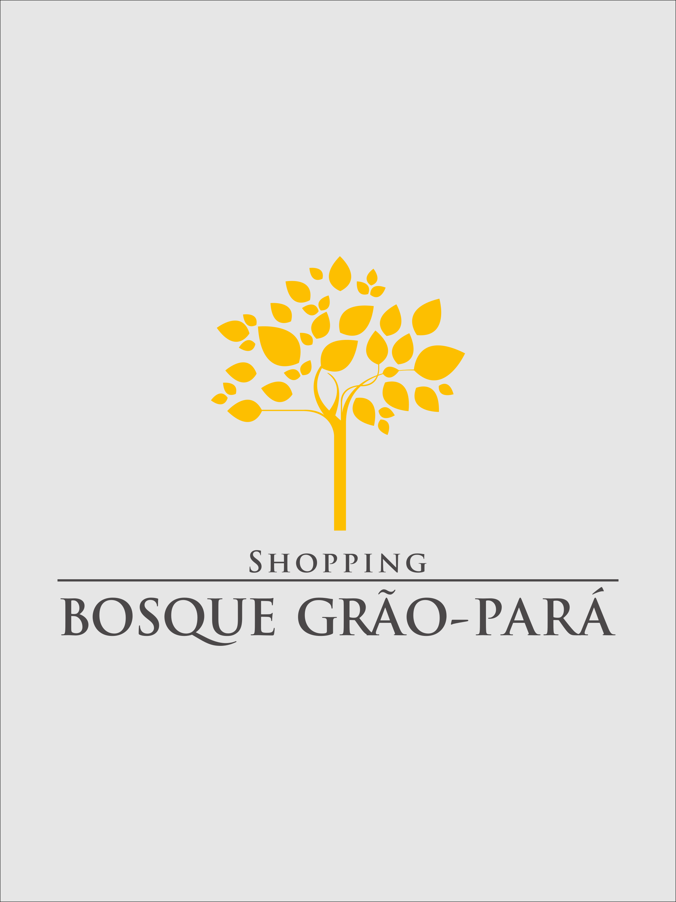 Grão Pará